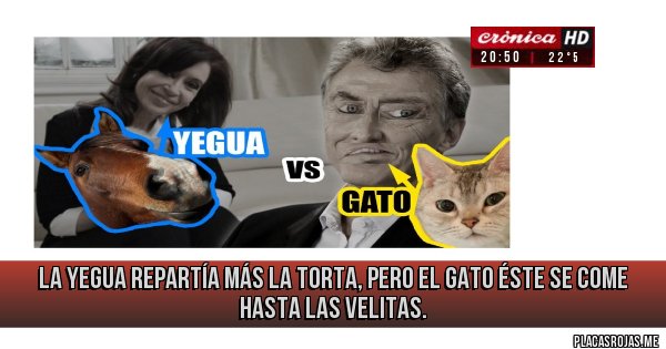 Placas Rojas - la yegua repartía más la torta, pero el gato éste se come hasta las velitas.
