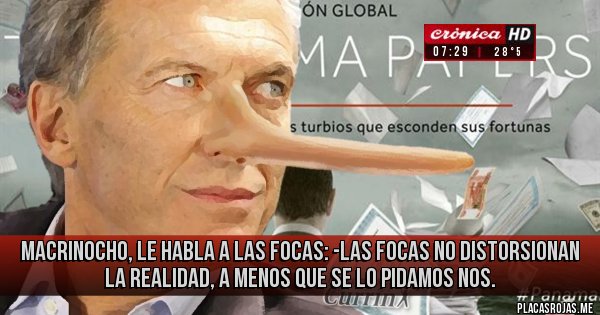 Placas Rojas - MACRINOCHO, LE HABLA A LAS FOCAS: -LAS FOCAS NO DISTORSIONAN LA REALIDAD, A MENOS QUE SE LO PIDAMOS NOS. 