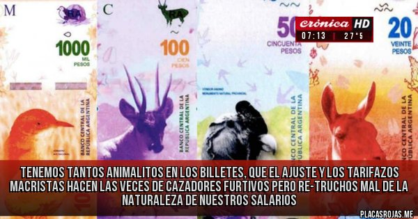 Placas Rojas - Tenemos tantos animalitos en los billetes, que el ajuste y los tarifazos macristas hacen las veces de cazadores furtivos pero re-truchos mal de la naturaleza de nuestros salarios