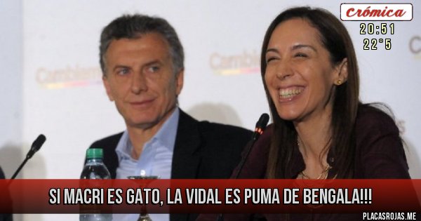 Placas Rojas - Si Macri es gato, la Vidal es Puma de Bengala!!!