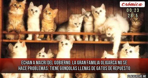 Placas Rojas - Echan a Macri del gobierno, la gran familia oligarca no se hace problemas: tiene góndolas llenas de gatos de repuesto