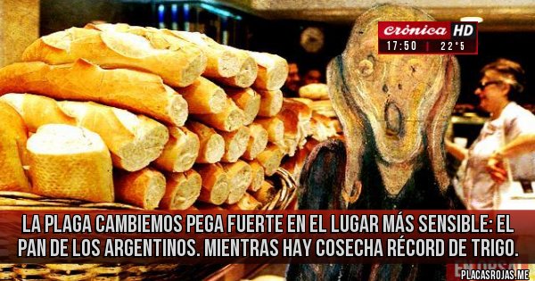 Placas Rojas - La plaga Cambiemos pega fuerte en el lugar más sensible: el pan de los argentinos. Mientras hay cosecha récord de trigo.
