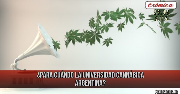 Placas Rojas - ¿Para cuándo la Universidad Cannábica Argentina?