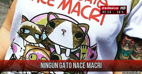 Placas Rojas - ningún gato nace macri