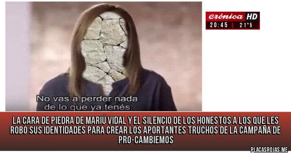 Placas Rojas - La cara de piedra de Mariú Vidal y el silencio de los honestos a los que les 
 robó sus identidades para crear los aportantes truchos de la campaña de pro-cambiemos