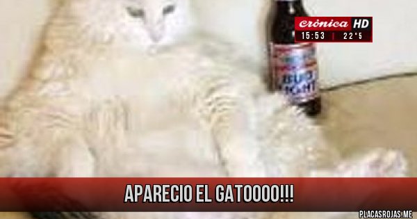 Placas Rojas - Aparecio el gatoooo!!!