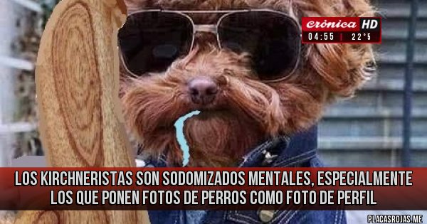 Placas Rojas - LOS KIRCHNERISTAS SON SODOMIZADOS MENTALES, ESPECIALMENTE LOS QUE PONEN FOTOS DE PERROS COMO FOTO DE PERFIL