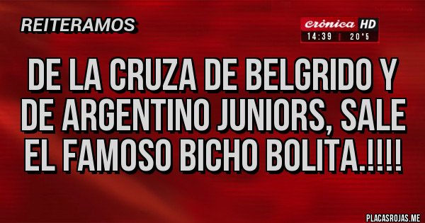 Placas Rojas - De la cruza de Belgrido y de Argentino Juniors, sale el famoso bicho bolita.!!!!