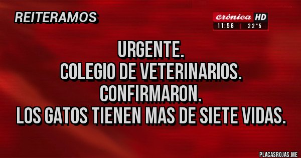 Placas Rojas - URGENTE.
COLEGIO DE VETERINARIOS.
CONFIRMARON.
 LOS GATOS TIENEN MAS DE SIETE VIDAS.