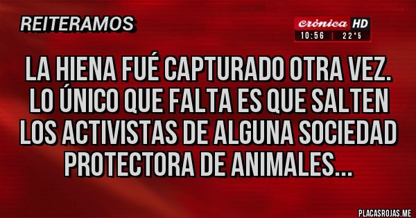 Placas Rojas - La hiena fué capturado otra vez. Lo único que falta es que salten los activistas de alguna sociedad protectora de animales...