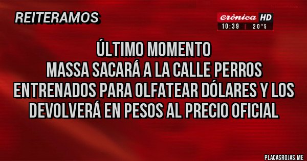 Placas Rojas - Último momento
Massa sacará a la calle perros entrenados para olfatear dólares y los devolverá en pesos al precio oficial 