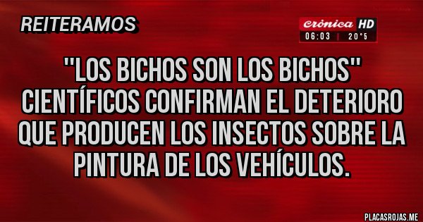 Placas Rojas - ''Los bichos son los bichos'' 
Científicos confirman el deterioro que producen los insectos sobre la pintura de los vehículos.