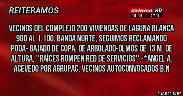 Placas Rojas - Vecinos del Complejo 200 Viviendas de Laguna Blanca 900 al 1.100, Banda Norte, SEGUIMOS RECLAMANDO PODA- BAJADO DE COPA, DE ARBOLADO-OLMOS DE 13 m. de ALTURA, ''RAÍCES ROMPEN RED DE SERVICIOS''.-*Ángel A. Acevedo por Agrupac. Vecinos Autoconvocados B.N