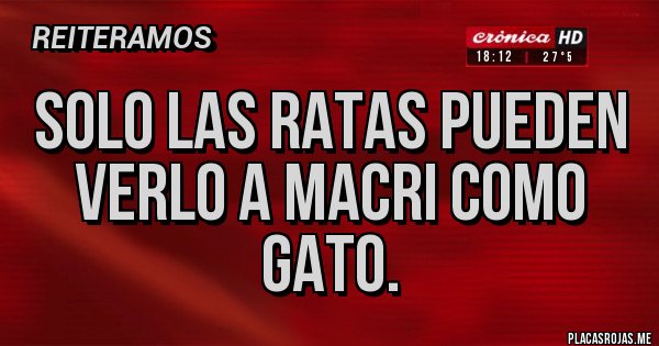 Placas Rojas - Solo las ratas pueden verlo a MACRI como gato.