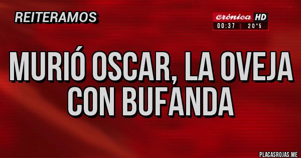 Placas Rojas - MURIÓ OSCAR, LA OVEJA CON BUFANDA