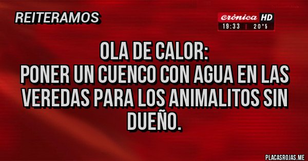 Placas Rojas - Ola de calor:
Poner un cuenco con agua en las veredas para los animalitos sin dueño.