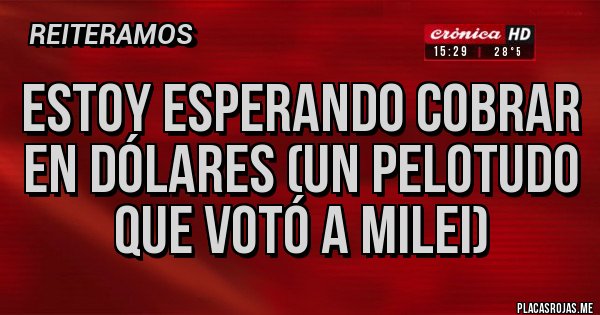 Placas Rojas - Estoy esperando cobrar en dólares (un pelotudo que votó a Milei)