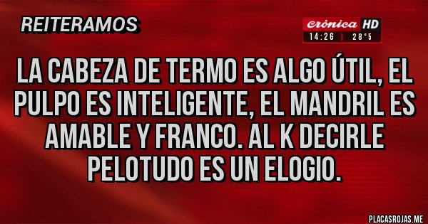 Placas Rojas - La cabeza de termo es algo útil, el pulpo es inteligente, el mandril es amable y franco. Al k decirle pelotudo es un elogio.