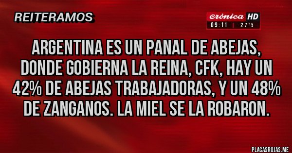 Placas Rojas - ARGENTINA ES UN PANAL DE ABEJAS, DONDE GOBIERNA LA REINA, CFK, HAY UN 42% DE ABEJAS TRABAJADORAS, Y UN 48% DE ZANGANOS. LA MIEL SE LA ROBARON.
