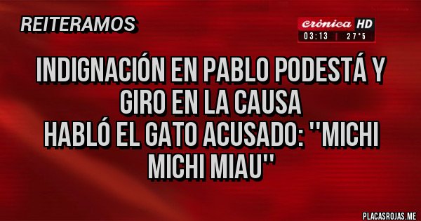 Placas Rojas - INDIGNACIÓN EN PABLO PODESTÁ Y GIRO EN LA CAUSA
HABLÓ EL GATO ACUSADO: ''MICHI MICHI MIAU''