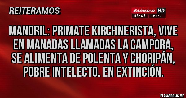 Placas Rojas - Mandril: primate kirchnerista, vive en manadas llamadas la campora, se alimenta de polenta y choripán, pobre intelecto. En extinción.