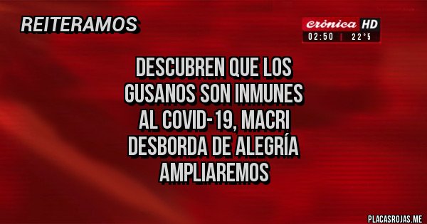 Placas Rojas - DESCUBREN QUE LOS 
GUSANOS SON INMUNES
 AL COVID-19, MACRI 
DESBORDA DE ALEGRÍA
AMPLIAREMOS
