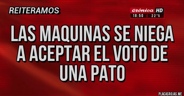 Placas Rojas - LAS MAQUINAS SE NIEGA A ACEPTAR EL VOTO DE UNA PATO Placas Rojas - LAS MAQUINAS SE NIEGA A ACEPTAR EL VOTO DE UNA PATO