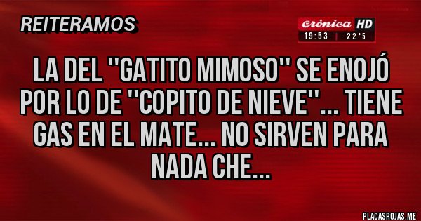Placas Rojas - La del ''gatito mimoso'' se enojó por lo de ''copito de nieve''... tiene gas en el mate... no sirven para nada che...