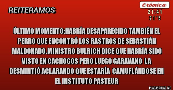 Placas Rojas - Último momento:habría desaparecido también el perro que encontró los rastros de sebastián maldonado.ministro bulrich dice que habría sido visto en cachogos pero luego garavano  la desmintió aclarando que estaría  camuflándose en el instituto pasteur