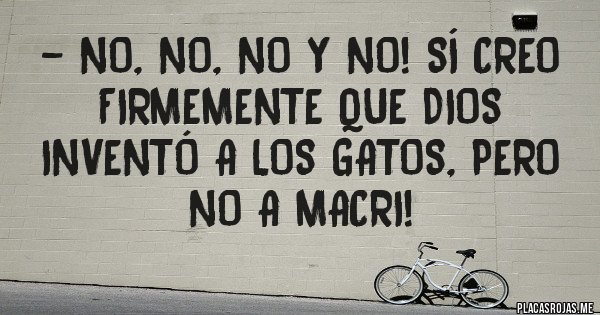 Placas Rojas - - No, no, no y no! Sí creo firmemente que Dios inventó a los gatos, pero no a Macri!