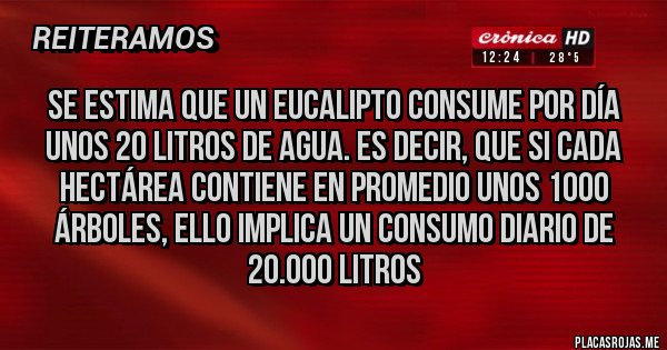 Placas Rojas - Se estima que un eucalipto consume por día unos 20 litros de agua. Es decir, que si cada hectárea contiene en promedio unos 1000 árboles, ello implica un consumo diario de 20.000 litros