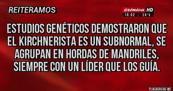 Placas Rojas - Estudios genéticos demostraron que el kirchnerista es un subnormal, se agrupan en hordas de mandriles, siempre con un líder que los guía. Placas Rojas - Estudios genéticos demostraron que el kirchnerista es un subnormal, se agrupan en hordas de mandriles, siempre con un líder que los guía.