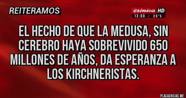 Placas Rojas - El hecho de que la medusa, sin cerebro haya sobrevivido 650 millones de años, da esperanza a los kirchneristas.