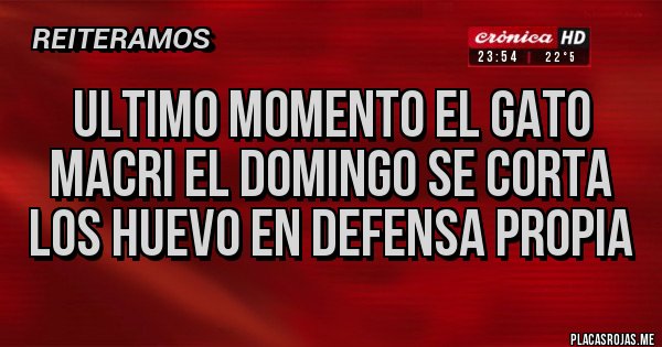 Placas Rojas - ultimo momento el gato macri el domingo se corta los huevo en defensa propia