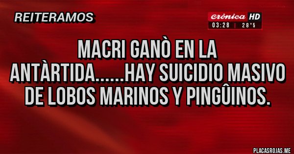 Placas Rojas - macri ganò en la antàrtida......hay suicidio masivo de lobos marinos y pingûinos.