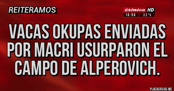 Placas Rojas - VACAS OKUPAS ENVIADAS POR MACRI USURPARON EL CAMPO DE ALPEROVICH.