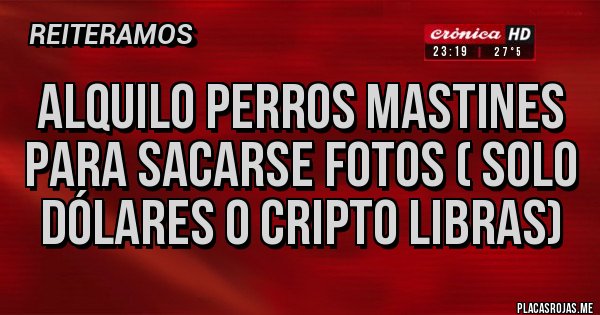Placas Rojas - Alquilo perros mastines para sacarse fotos ( solo dólares o cripto libras)