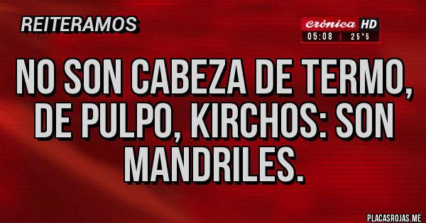 Placas Rojas - No son cabeza de termo, de pulpo, kirchos: son mandriles.