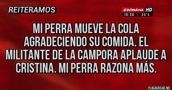 Placas Rojas - Mi perra mueve la cola agradeciendo su comida. El militante de la CAMPORA aplaude a Cristina. Mi perra razona más.