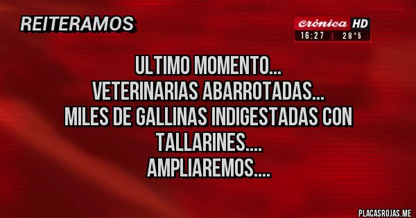 Placas Rojas - ULTIMO MOMENTO...
Veterinarias aBarroTadas...
Miles de gallinas indigestadas con Tallarines....
AMPLIAREMOS....