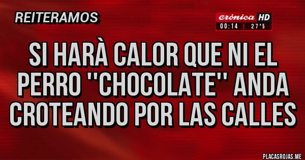 Placas Rojas - si harà Calor que ni el perro ''CHOCOLATE'' anda croteando por las calles