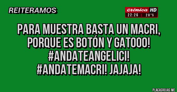Placas Rojas - Para muestra basta un Macri, porque es botón y gatooo!
 #AndateAngelici!
#AndateMacri! Jajaja!