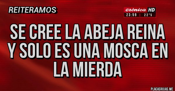 Placas Rojas - Se cree la abeja reina y solo es una mosca en la mierda 