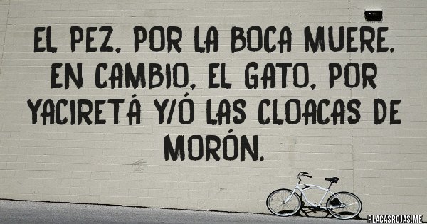 Placas Rojas - El pez, por la boca muere. En cambio, el gato, por Yaciretá y/ó las cloacas de Morón. Placas Rojas - El pez, por la boca muere. En cambio, el gato, por Yaciretá y/ó las cloacas de Morón.
