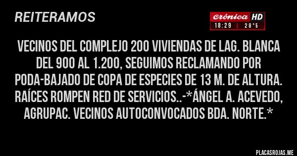 Placas Rojas - Vecinos del Complejo 200 Viviendas de Lag. Blanca del 900 al 1.200, seguimos reclamando por PODA-BAJADO DE COPA DE ESPECIES DE 13 m. de Altura. RAÍCES ROMPEN RED DE SERVICIOS..-*Ángel A. Acevedo, Agrupac. Vecinos Autoconvocados Bda. Norte.*