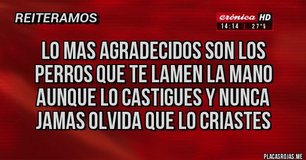 Placas Rojas - LO MAS AGRADECIDOS SON LOS PERROS QUE TE LAMEN LA MANO AUNQUE LO CASTIGUES Y NUNCA JAMAS OLVIDA QUE LO CRIASTES 