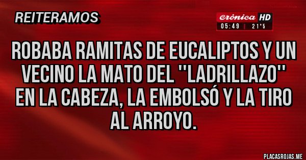 Placas Rojas - Robaba ramitas de eucaliptos y un vecino la mato del ''ladrillazo'' en la cabeza, la embolsó y la tiro al arroyo.