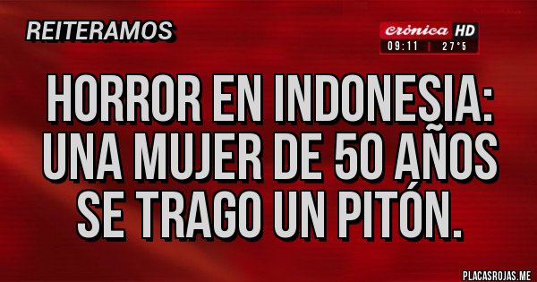 Placas Rojas - Horror en Indonesia: una mujer de 50 años se trago un pitón.