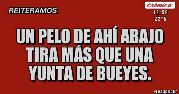 Placas Rojas - Un pelo de ahí abajo 
tira más que una
 yunta de bueyes.
