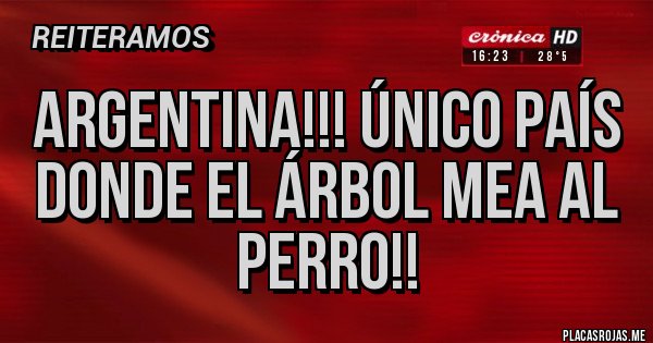 Placas Rojas - ARGENTINA!!! ÚNICO PAÍS DONDE EL ÁRBOL MEA AL PERRO!!